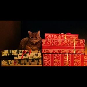 Meet your Posher, Jordyn